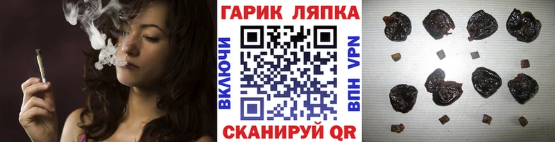 ГАШИШ Premium  Купить  Кедровый 