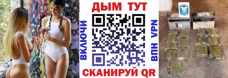 Бошки Шишки сатива  Купить  Кедровый 